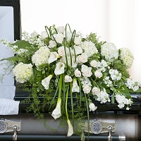For The Service Image